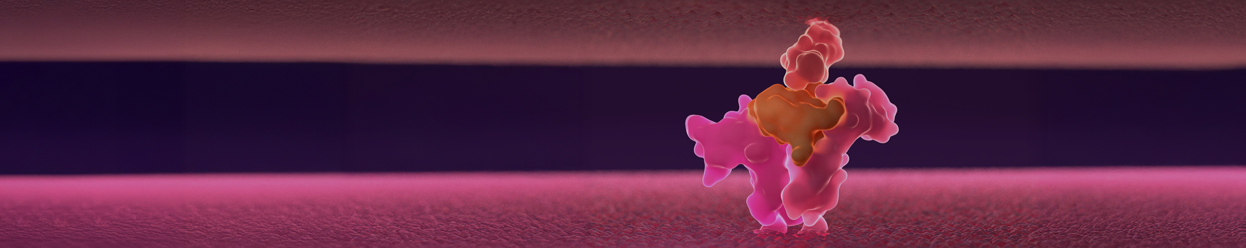 Nektar Receptor