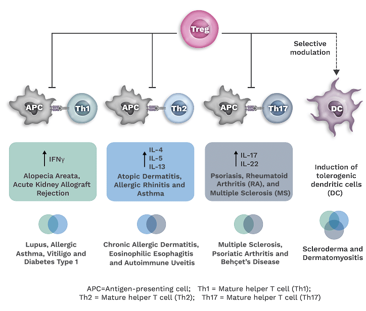 Treg Immune homeostasis